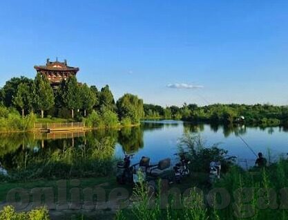 比分足球新浪-新浪比分，解锁足球世界的数字密码