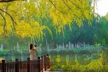 乐鱼体育进不去-乐鱼体育平台登录问题分析与解决方案